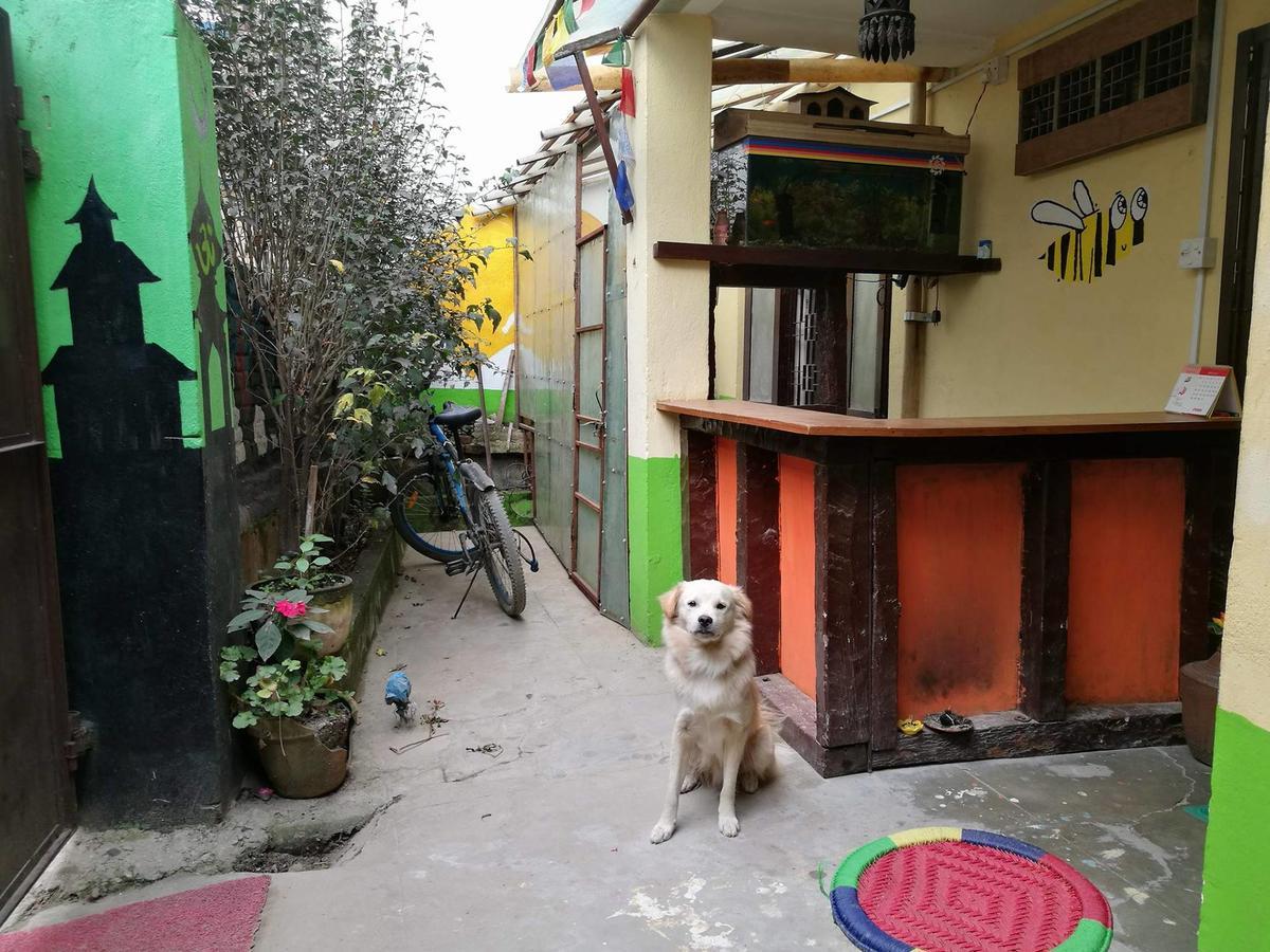 Hostel The Nepali Hive Kathmandu Exterior foto